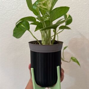 Elegant Black Planter with stand